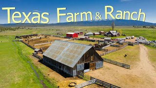 How Texas Farmers Are Running 247000 Farms And Ranches  Farming Documentary [upl. by Deraj]