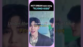 NCT DREAM prerelease song quotFLYING KISSquot MV [upl. by Mccreery]