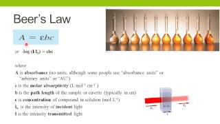 Spectrophotometric Enzyme Assays [upl. by Somisareg]