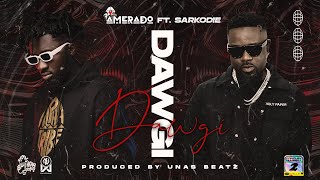 Amerado  Dawgi ft Sarkodie Audio Slide [upl. by Eulalie371]