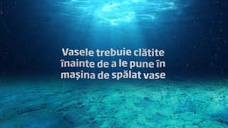 MIT VASELE TREBUIE CLATITE INAINTE DE A LE PUNE IN MASINA DE SPALAT [upl. by Goda]