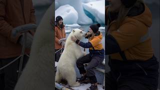 Polar Bears Heartwarming Rescue polarbearrescue wildlifeconservation arcticanimals [upl. by Ahsika]