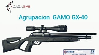 Agrupacion GAMO GX40 [upl. by Patience]