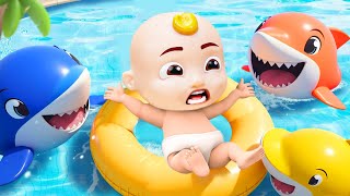 Shark Finger Family  Baby Shark More and More  Compilation CoComelon Nursery Rhymes amp Kids Songs [upl. by Xet262]