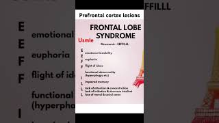 Prefrontal cortex lesion frontal lobe syndrome [upl. by Hildick]