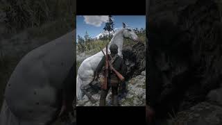 Localização Appaloosa rdr2 reddeadredemtion2 reddeadredemption reddeadonline redditstories [upl. by Thorma]