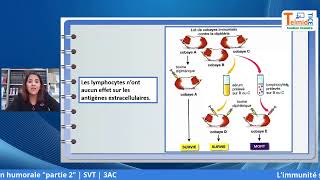L’immunité spécifique acquise à médiation humorale Partie 2 [upl. by Adnilrem15]