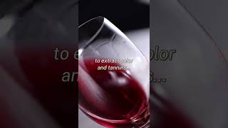 Wine in business motivation wine [upl. by Cornish148]