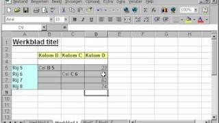 EXCEL Les 6 werkbladen cellen kolommen rijen optellen aftrekken delen vermenigvuldigen [upl. by Burty730]