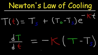 Newtons Law of Cooling Calculus Example Problems Differential Equations [upl. by Amble497]