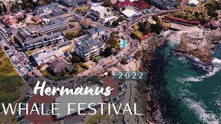 Hermanus WHALE FESTIVAL 2022 4K [upl. by Iel]