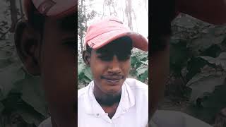 Kaha ja rahe ho chidiya ke dana dene comedy funny 😂😂😂😂😂 [upl. by Knepper]