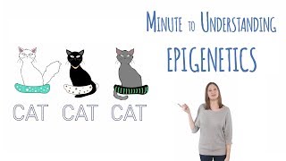 What is epigenetics [upl. by Mahla]