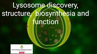 Lysosomes structure diacovery formation and function  MDCAT  easy biology [upl. by Eive]