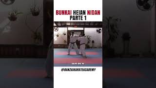 Bunkai Heian Nidan parte 1 [upl. by Adis]