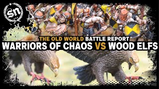 Warriors of Chaos vs Wood Elf Realms  The Old World Battle Report [upl. by Aiym958]