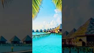 Maldives Trip Plan amp COMPLETE BUDGET  AZGuide  Maldives islands  Luxury Maldives Resort [upl. by Tiebold]