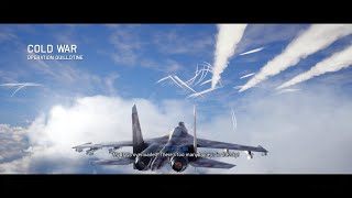 Project Wingman 11 Cold war No commentary [upl. by Nahshun]