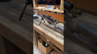 Preparing for hunting season Bergara B14 HMR Carbon wilderness ready for some elk guns asmr [upl. by Earized]