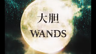 WANDS「大胆」 MV [upl. by Virgil]