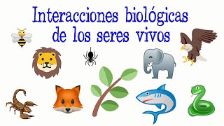 🐝Interacciones biológicas de los seres vivos🌿 Fácil y Rápido  BIOLOGÍA [upl. by Kaine]