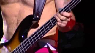 Red Hot Chili Peppers  Final Jam at Chorzów Poland 2007 [upl. by Hitoshi]