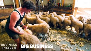 How NZ Farmers Shear 25000 Sheep In 10 Days  Big Business [upl. by Cassondra]