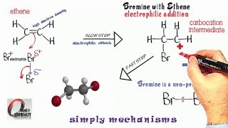 Simply Mechanisms 2 Electrophilic Addition 2 Ethene amp Bromine [upl. by Dlonyer]