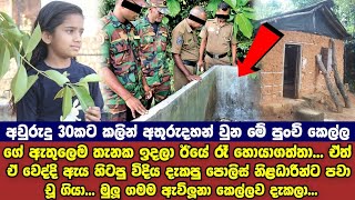 පුංචි රෝස මලට වෙච්ච දේ බලන්නකො [upl. by Aicenet855]