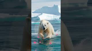 5 Amazing Secrets of Polar Bears That Will Captivate You [upl. by Nollahs292]