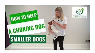 How to Help a Choking Dog  Smaller Dogs  First Aid for Pets [upl. by Olivero]