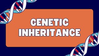 Pleiotropy Vs Epistasis Vs Polygenic inheritance [upl. by Yoral251]