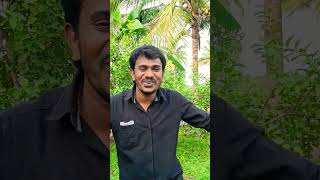 Megamai vanthu pogiren song music love tamil lovesong davidcineofficial tamilmusic [upl. by Eresed]