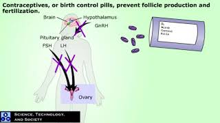 Hormonal Control of Reproductive Cycle [upl. by Guglielmo123]