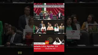 Diputada del PT destroza los argumentos del PRIAN [upl. by Zoara]