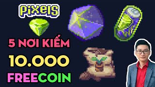 5 ĐỊA ĐIỂM KIẾM 10000 COIN MIỄN PHÍ TRONG GAME PIXELS [upl. by Nalo955]