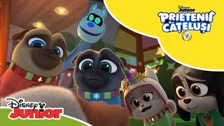 🎄Cățelușii salvează Crăciunul  Prietenii Cățeluși  Disney Junior România [upl. by Frieda]