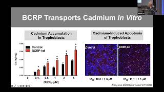 2024 MPRINT Annual Conference Prediction of Teratogenicity and Drug Toxicity Utilizing preclinica [upl. by Tiffany]