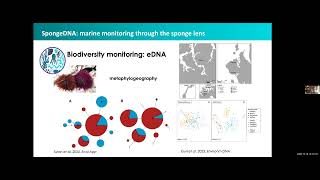 Monitoring the biodiversity of benthic communities through the sponge lens  MEEgene 10122024 [upl. by Llewxam]