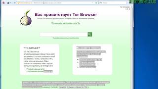 Как правильно настроить tor браузер [upl. by Sitoiganap]