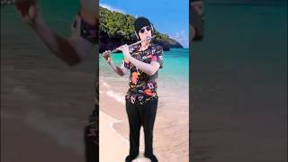 REGGAE FLUTE music art song flute shorts short trending trend dance artist reggae soul [upl. by Ilesara]