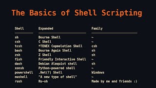 The Basics of Shell Scripting [upl. by Wilma]