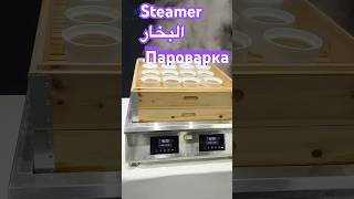 Countertop Steamer with Automatic Water Filling – Perfect for Steaming Buns Dumplings and Soups [upl. by Eluj]