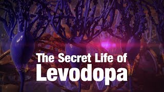 The Secret Life of Levodopa [upl. by Nnywg]