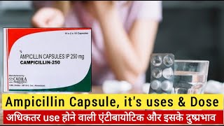 Ampicillin Capsules  ampicillin capsules lp 500mg  Ampicillin Antibiotic uses Dose Side Effects [upl. by Ellga946]