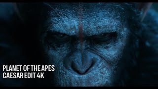 PLANET OF THE APES CAESAR EDIT 4K [upl. by Trebleht433]