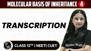 Molecular Basis of Inheritance 04  Transcription  Pure English  12th  NEETCUET [upl. by Wylma840]