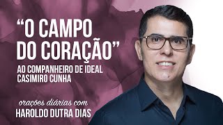 O CAMPO DO CORAÇÃO  Ao Companheiro de Ideal [upl. by Hteb]