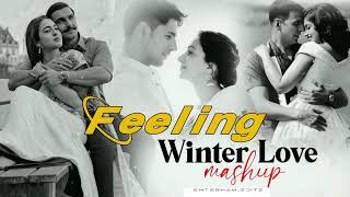 Feeling Of Love Mashup  Nonstop Winter Mashup  Chillout Emotional Song Mix Mashup [upl. by Damalis]