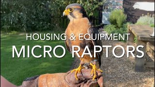 FALCONRY Micro Raptors housing and furniture [upl. by Ferree]